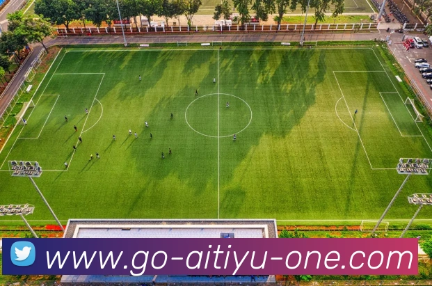 爱体育平台生态图